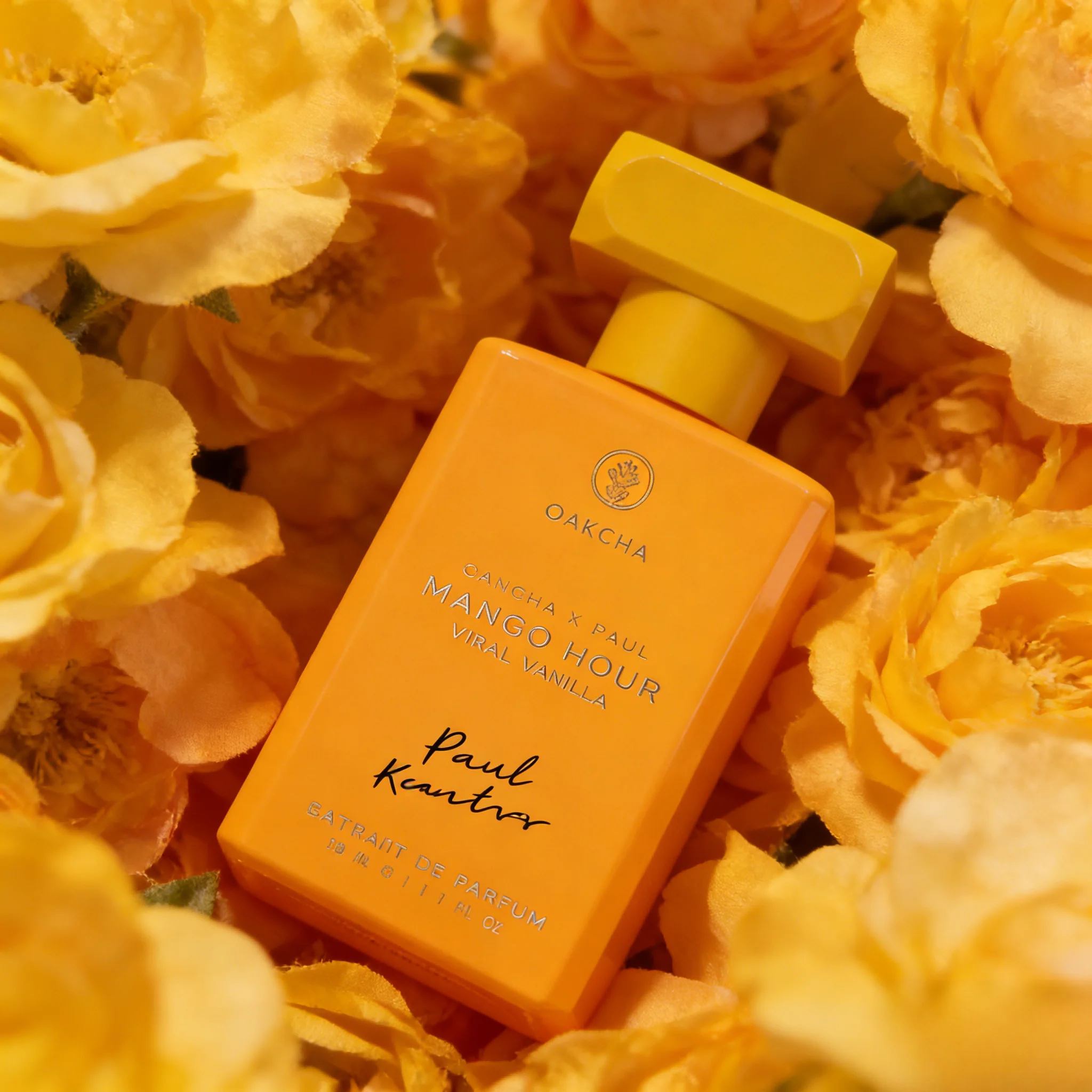 OAKCHA Series Men's & Women's  - đánh giá và giá You Perfume Fragrance